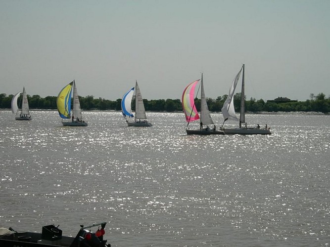 blaye-nautique-voile-estuaire-gironde-regate-800x600--blaye-nautique