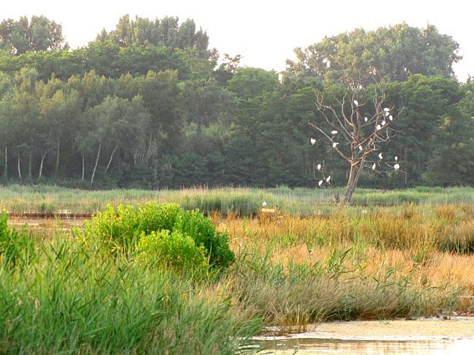 Les Prés Salés Ouest