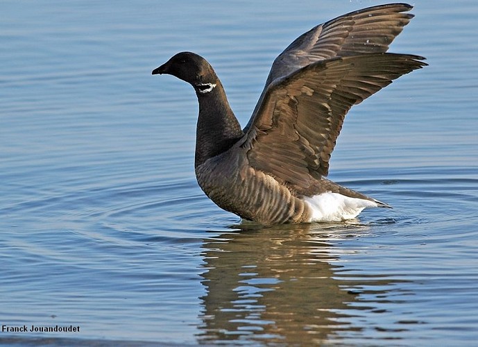 Les Prés Salés Ouest