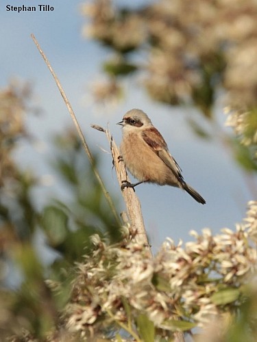 Les Prés Salés Ouest
