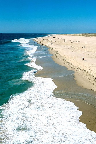 Réserve des dunes - Pointe du Cap Ferret