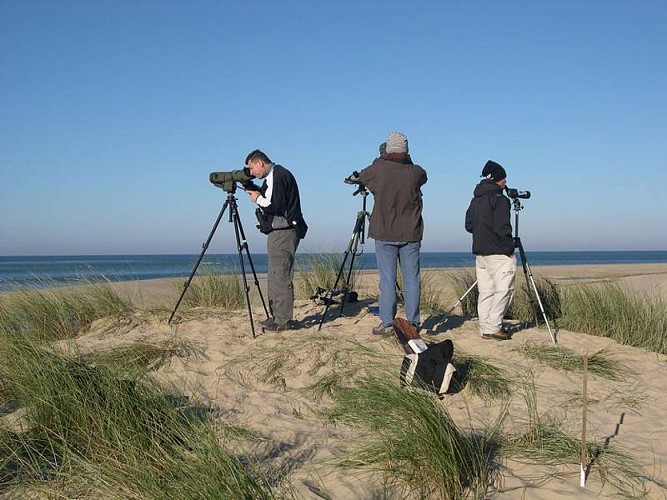 Groupe en train de spotter