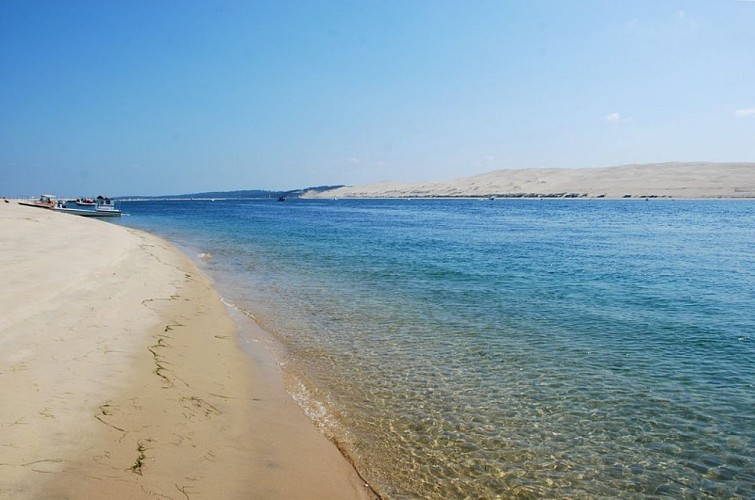 La réserve naturelle du Banc d'Arguin