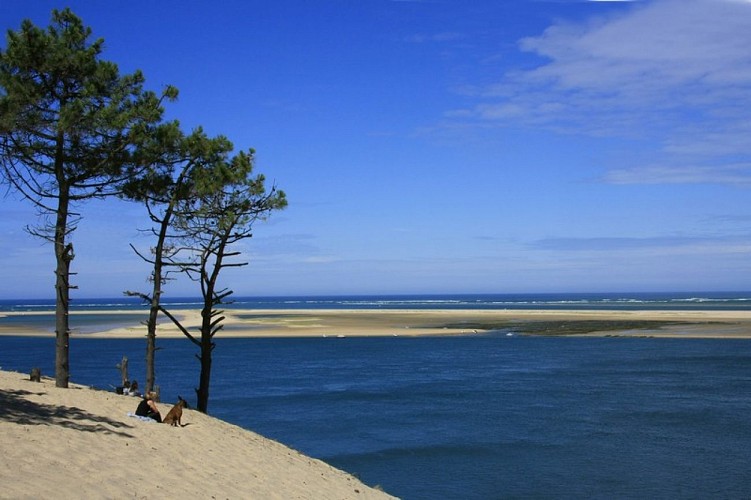La réserve naturelle du Banc d'Arguin