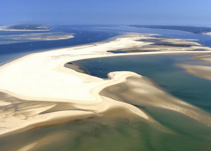 La réserve naturelle du Banc d'Arguin