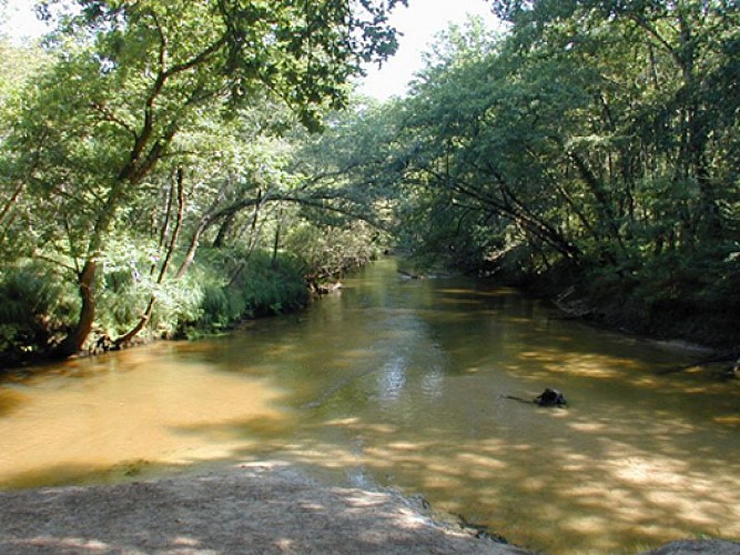 confluence-des-deux-LeyresFredGilbert-2