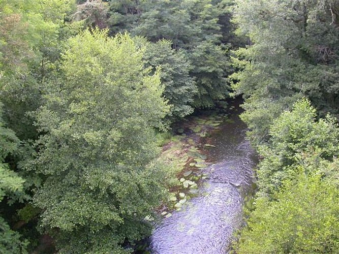 Vallée du Ciron et Haute Lande Girondine