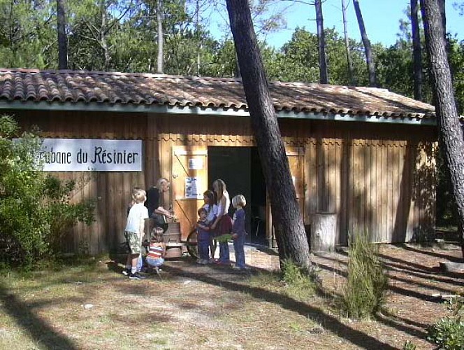Cabane du Résinier