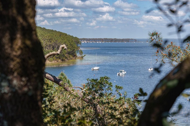 Sentier du Lac_Carcans-Maubuisson ©Nohcab