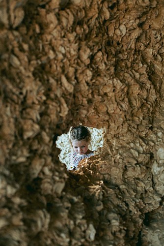 Sainte Croix du Mont - la Gironde du Sud 