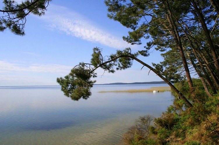 Lac de Cazaux
