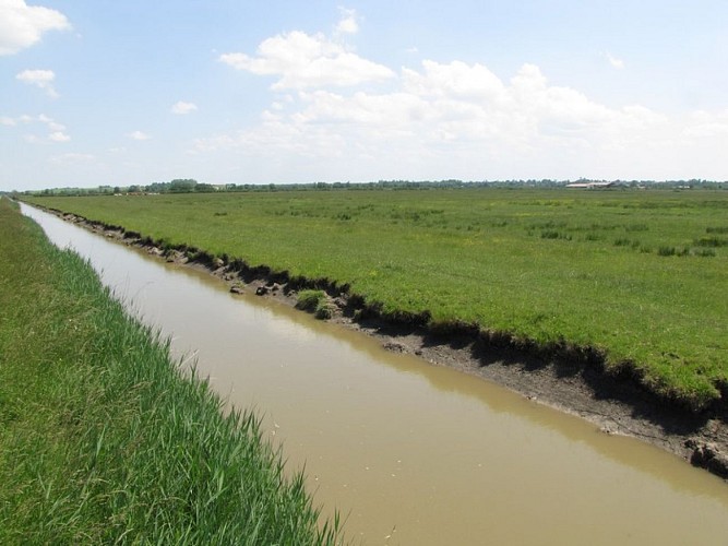 Marais de la Maréchale