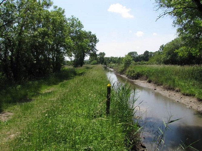 Marais de la Maréchale