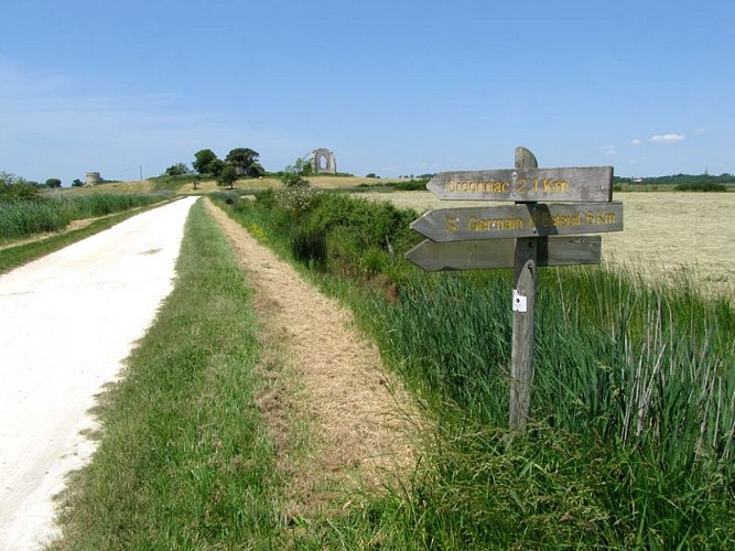 Marais de la Maréchale