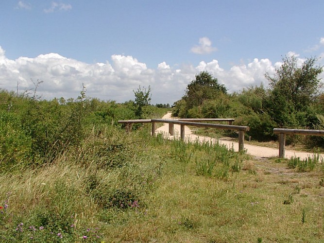 Le sentier du littoral de Gujan-Mestras