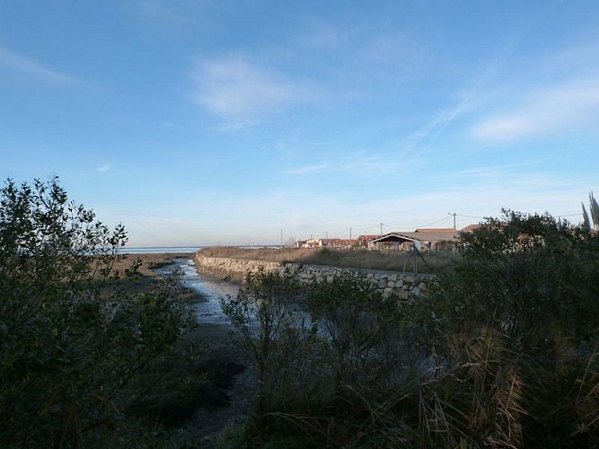 Sentier du littoral (1) [800x600]