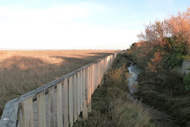 Sentier du littoral (16) [800x600]