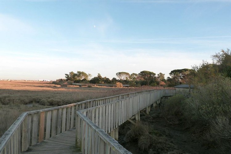 Sentier du littoral (21) [800x600]