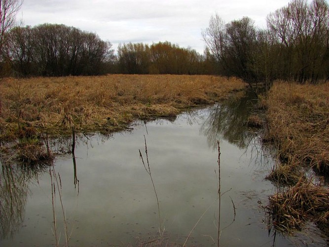 Marais des Brizards