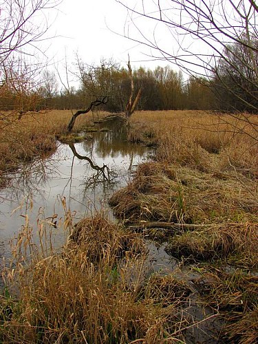 Marais des Brizards