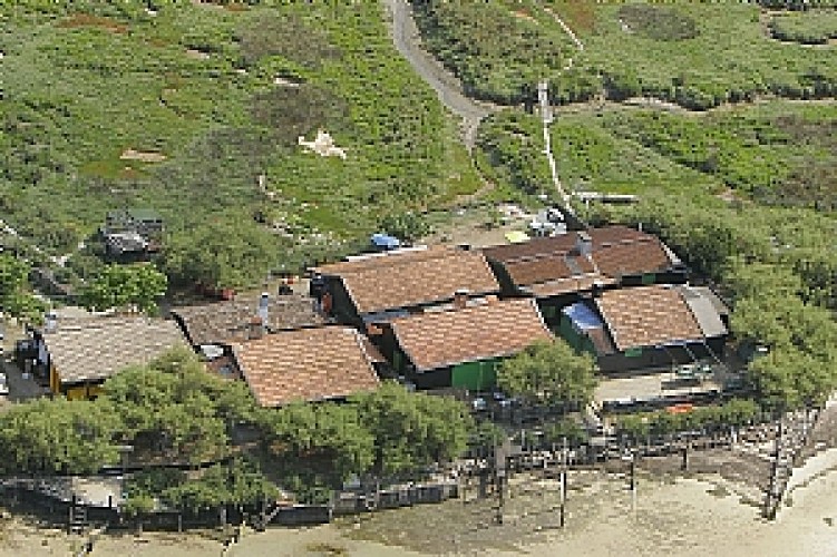 Le Bassin d'Arcachon