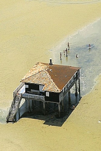 Le Bassin d'Arcachon