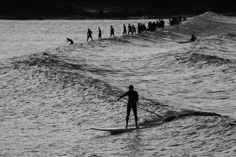 Mascaret-2016-CCordonatto-600x800-CATY2693