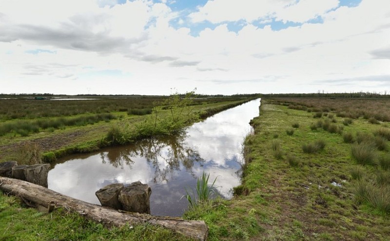 Marais de Montferrand (2)