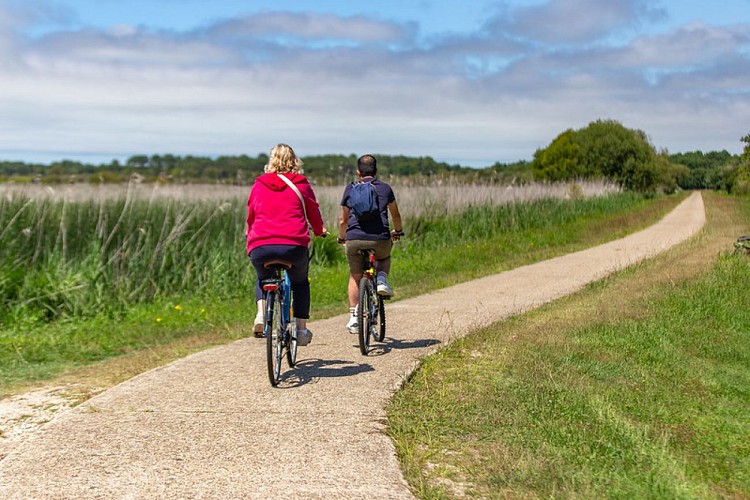 Marais de la Perge - Piste Cyclable