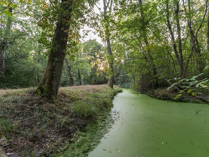 Les-mairais-de-Labarde3