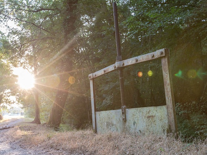 Les-mairais-de-Labarde2