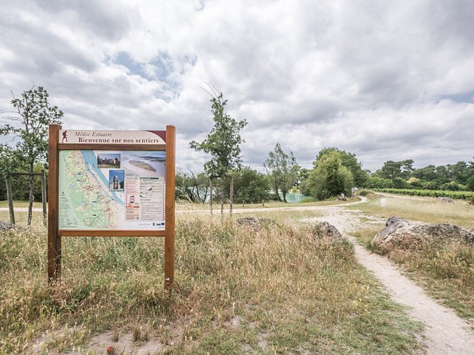 Les-Marais-de-Ludon2