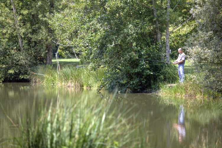 Etang des sources