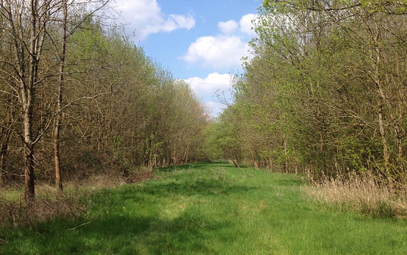 ile-d-arcins--CLement-Pamelard--780-2