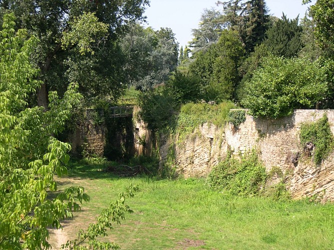 Les-Faluns---mur-archeologique