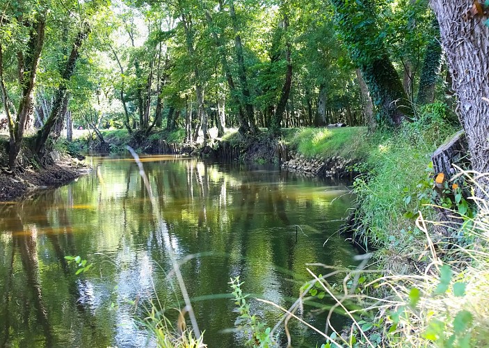 Destination Garonne, le Ciron