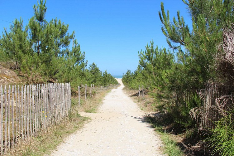 Plage Saint-Nicolas © medoc-atlantique-tourisme_1