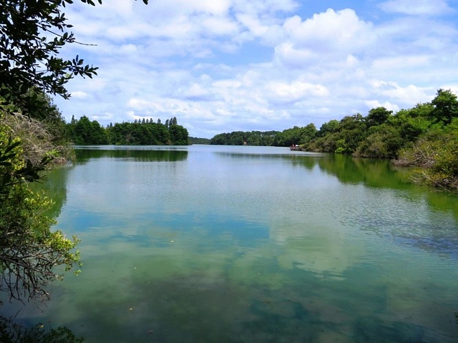 La Réserve Naturelle de l'Etang Noir