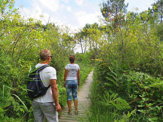 réserve naturelle étang noir 2015 ©seignossetourisme (19)