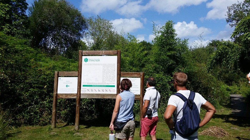 visite de la réserve naturelle de l'étang noir