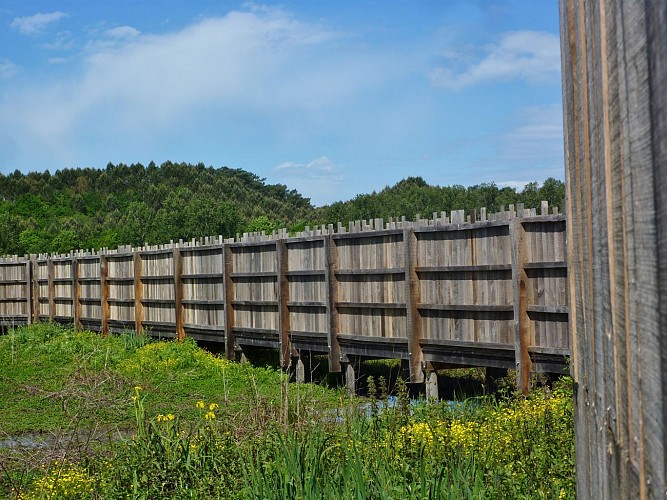 Réserve naturelle du Marais d'Orx- Labenne - Landes Atlantique Sud