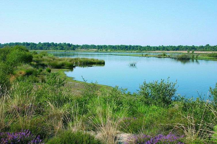 Réserve Naturelle Nationale d'Arjuzanx