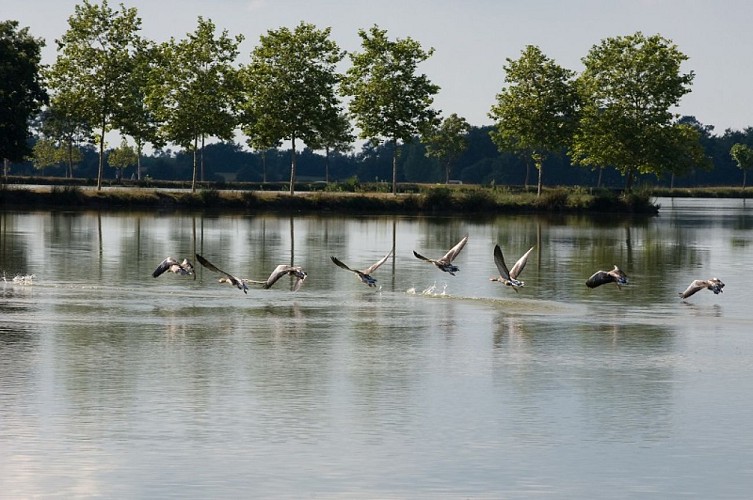 Pomarez-TiS-4-Lac-de-Tastoa