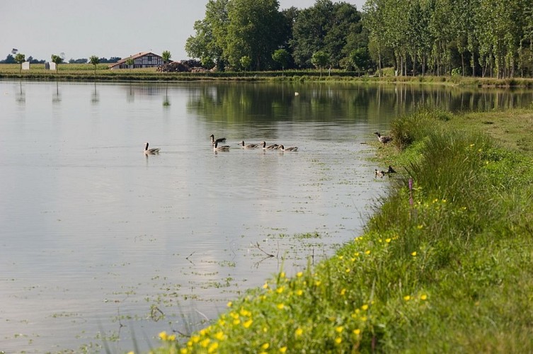 Pomarez-TiS-3-Lac-de-Tastoa