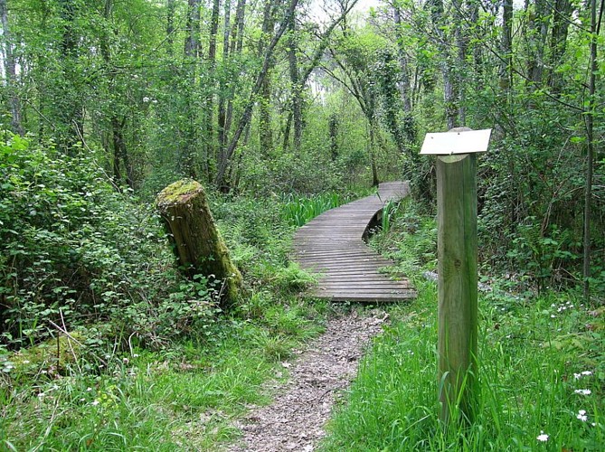 sentier botanique 2