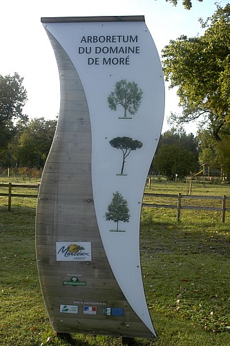 Etang et Arborétum de Moré