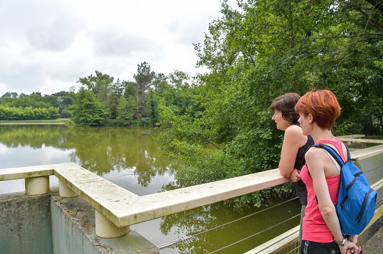 Hagetmau--lac-d-Halco-5-TiS