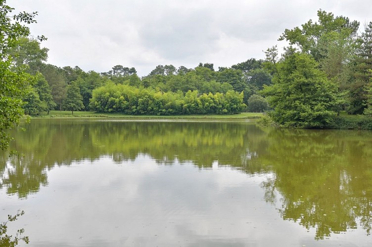 Hagetmau--lac-d-Halco-6-TiS