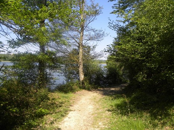 Lac et réserve ornithologique du Broussau