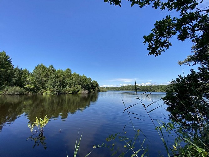 Etang de la prade Messanges Landes Atlantique Sud